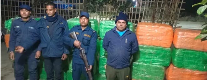 सप्तरीमा करिब ७ क्विन्टल गाँजा बरामद