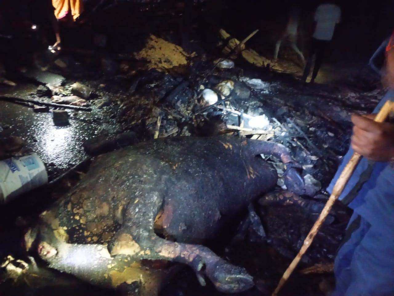 सप्तरीमा आगलागी: लाखौंको क्षति, चौपायाको मृत्यु