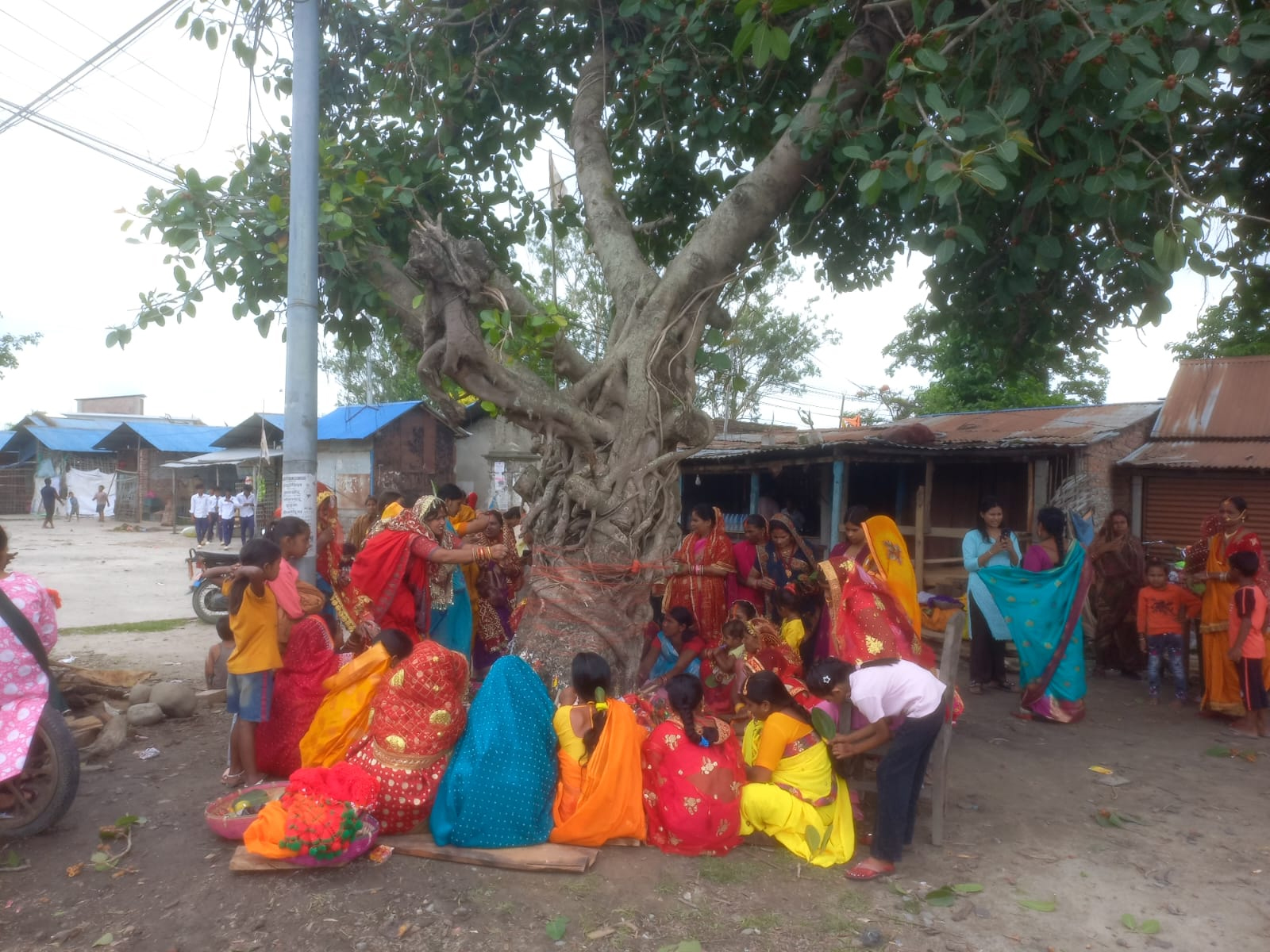 बट सावित्री व्रत हर्षोल्लासका साथ सम्पन्न