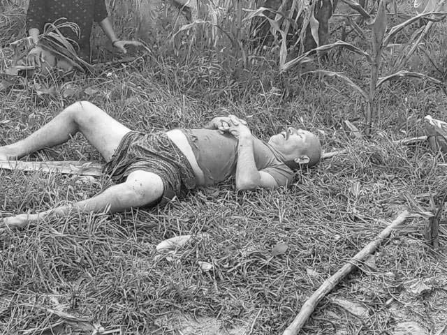 सप्तरीमा जंगली हात्तीको आक्रमणबाट एक वृद्धको मृत्यु