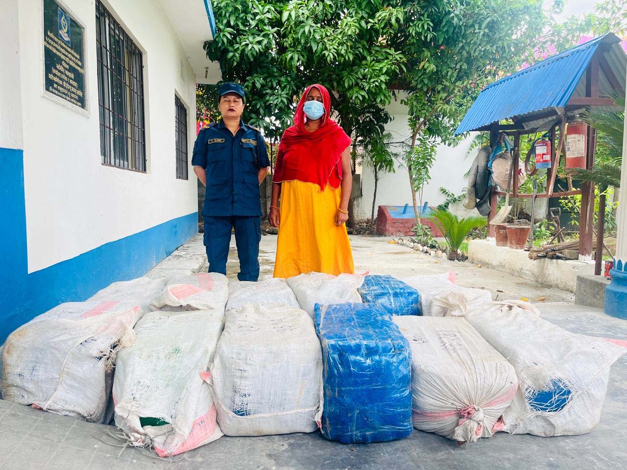 सप्तरीमा ३८८ किलो गाँजासहित एक जना पक्राउ, अनुसन्धान जारी