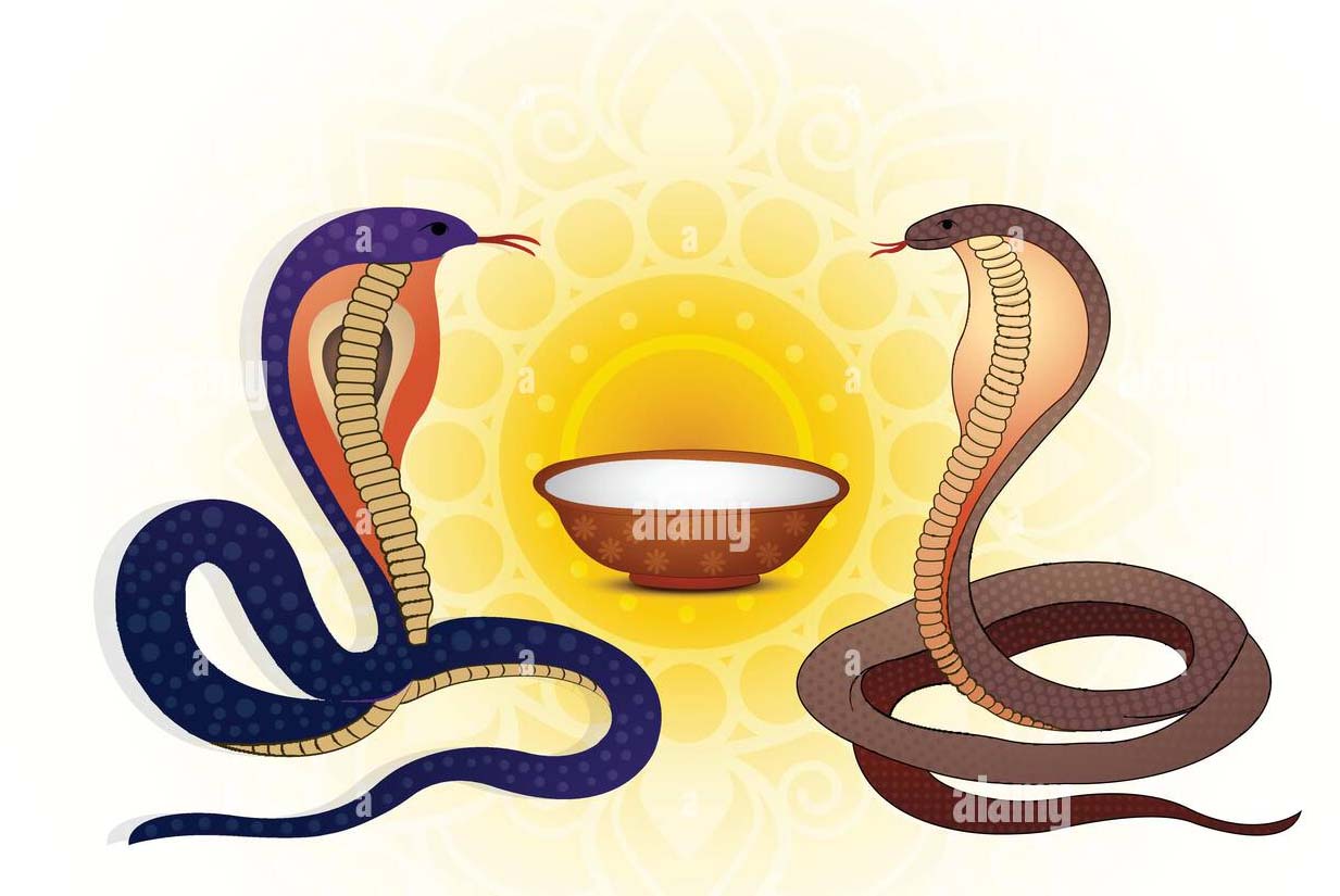 नाग पंचमी देशभर नागदेवताको पूजा गरी भक्तिपूर्वक मनाइयो